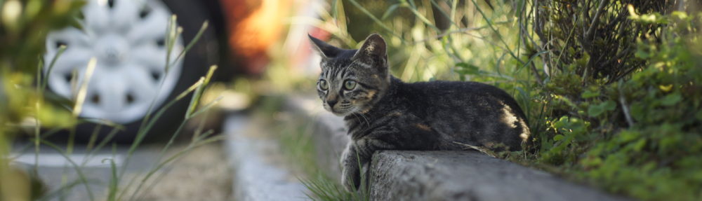 株式会社ベストアレンジ