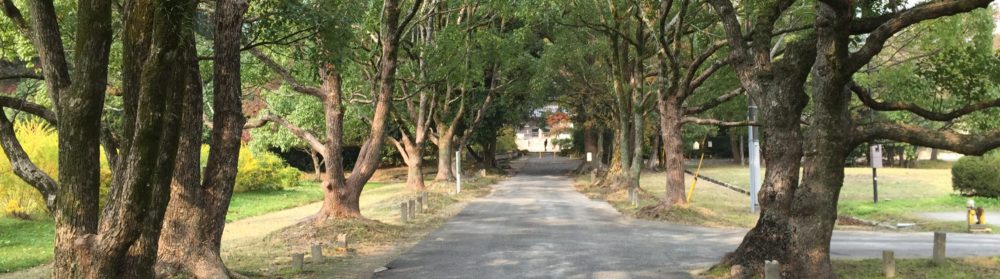 株式会社ベストアレンジ