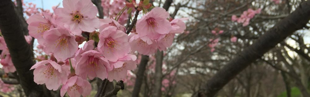 株式会社ベストアレンジ