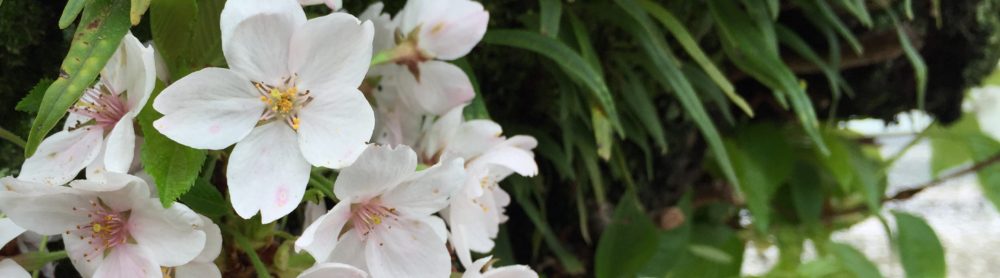 株式会社ベストアレンジ