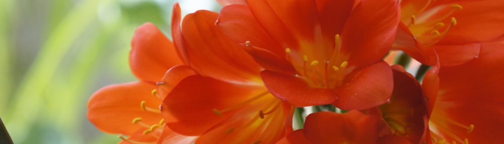 株式会社ベストアレンジ