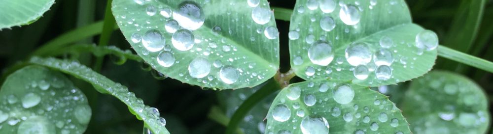 株式会社ベストアレンジ