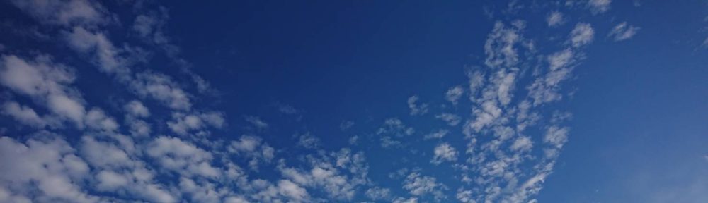 株式会社ベストアレンジ